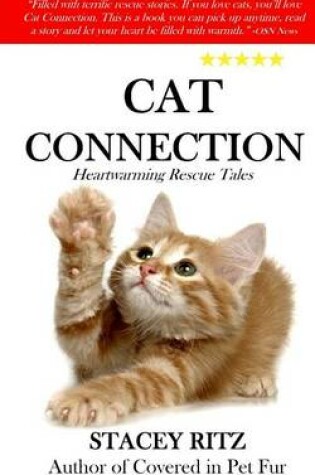 Cover of Cat Connection