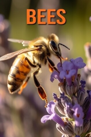 Cover of Bees