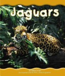 Book cover for Jaguars