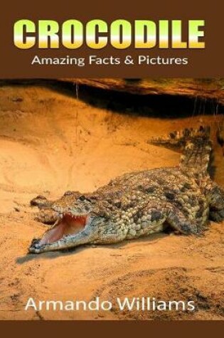 Cover of Crocodile