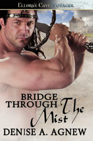 Cover of Bridge Through the Mist