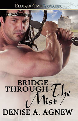 Book cover for Bridge Through the Mist