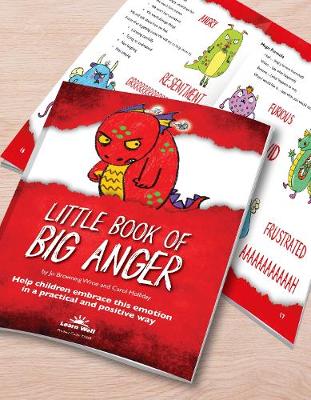 Cover of The Little Book of Big Anger