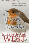 Book cover for A Winter Wonder