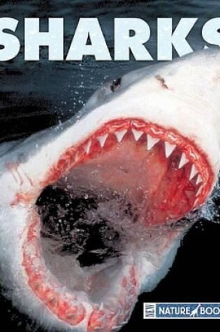 Cover of Sharks