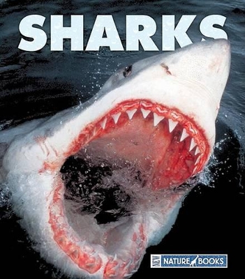 Cover of Sharks