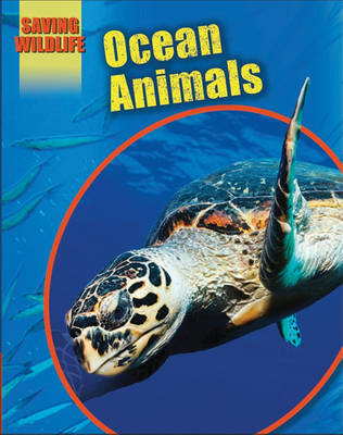 Book cover for Ocean Animals