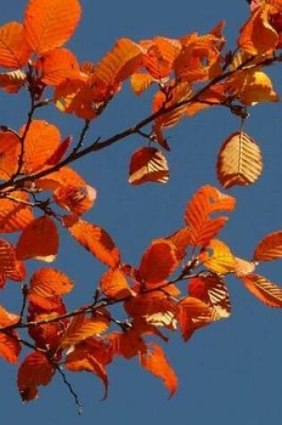 Cover of Autumn Forest Notebook