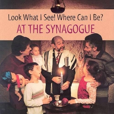 Book cover for At the Synagogue