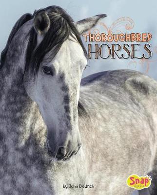 Book cover for Thoroughbred Horses