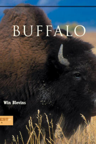 Cover of Buffalo