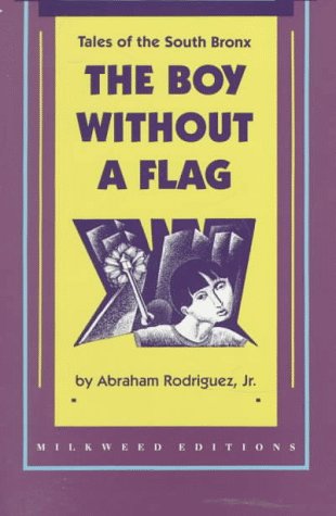 Book cover for The Boy without a Flag