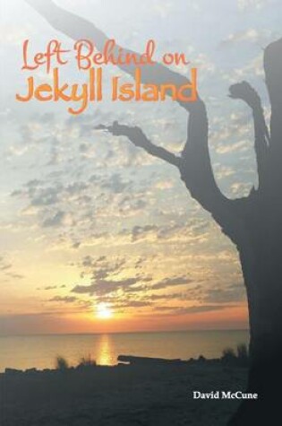 Cover of Left Behind on Jekyll Island