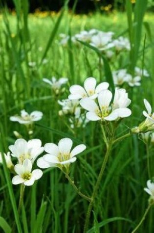 Cover of Minuartia Sandwort Flowers Journal