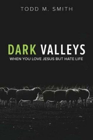 Cover of Dark Valleys