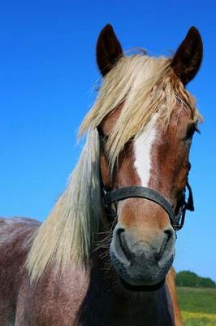 Cover of Portrait of a Horse Named Blaze Journal