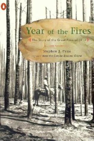 Cover of Year of the Fires