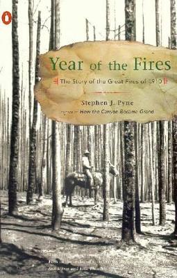 Book cover for Year of the Fires