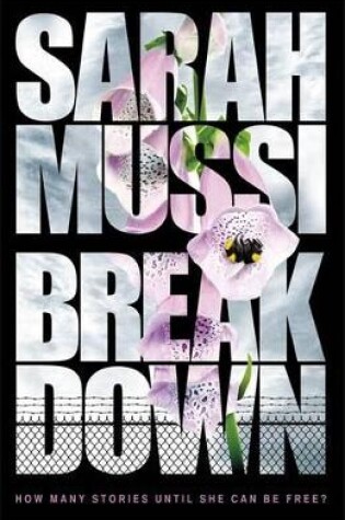 Cover of Breakdown