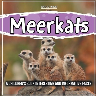 Book cover for Meerkats