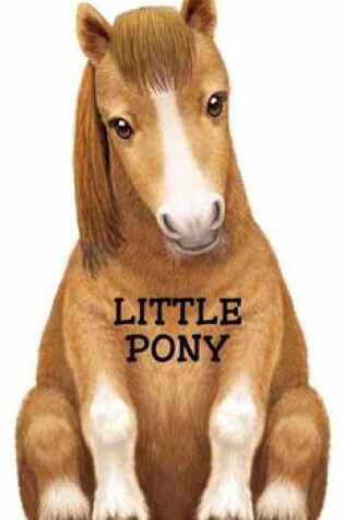 Cover of Little Pony