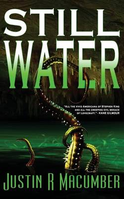 Book cover for Still Water