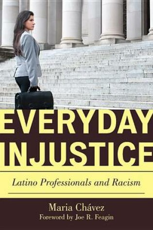 Cover of Everyday Injustice