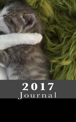 Cover of 2017