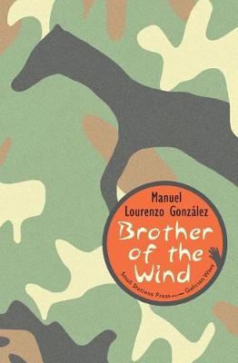 Book cover for Brother of the Wind