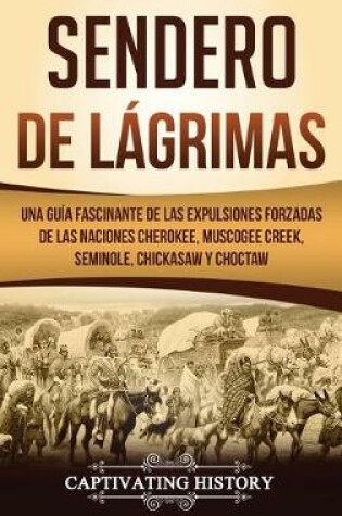 Cover of Sendero de Lagrimas