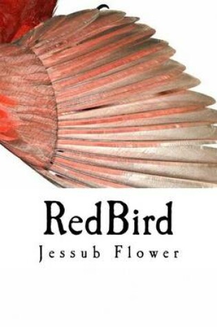 Cover of RedBird