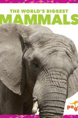 Cover of The World's Biggest Mammals