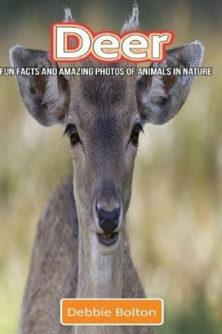 Cover of Deer