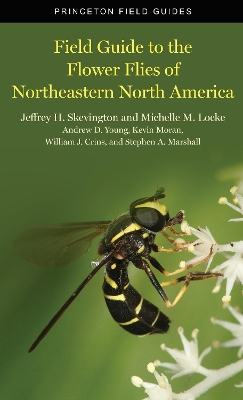 Book cover for Field Guide to the Flower Flies of Northeastern North America