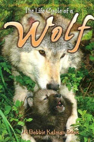 Cover of The Life Cycle of a Wolf