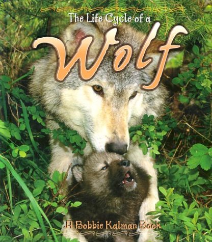 Book cover for The Life Cycle of a Wolf