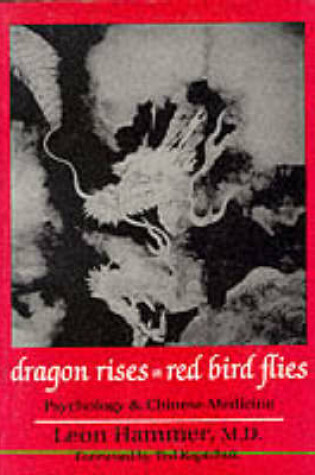 Cover of Dragon Rises, Red Bird Flies