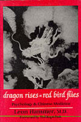 Book cover for Dragon Rises, Red Bird Flies