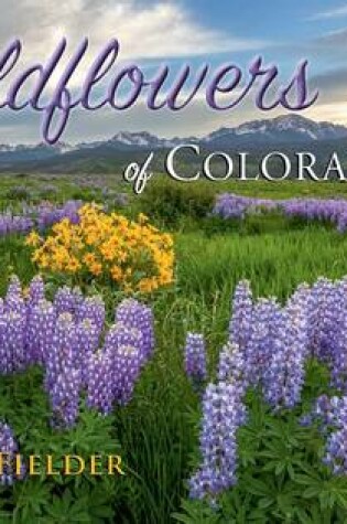 Cover of Wildflowers of Colorado