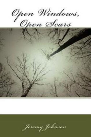 Cover of Open Windows, Open Scars