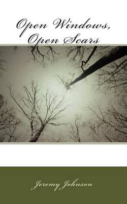 Book cover for Open Windows, Open Scars