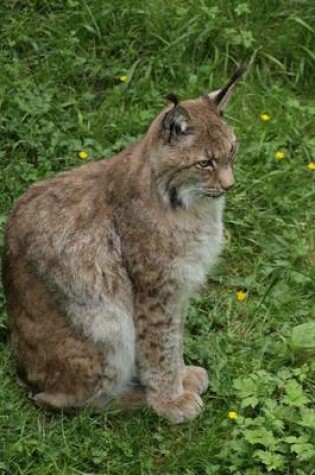 Cover of A Seated Lynx Big Cat Journal