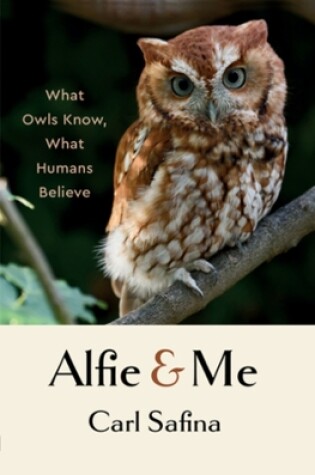 Cover of Alfie and Me