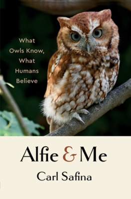 Book cover for Alfie and Me