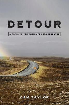 Book cover for Detour