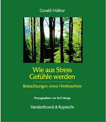 Book cover for Wie Aus Stress Gefuhle Werden