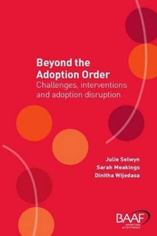 Cover of Beyond the Adoption Order