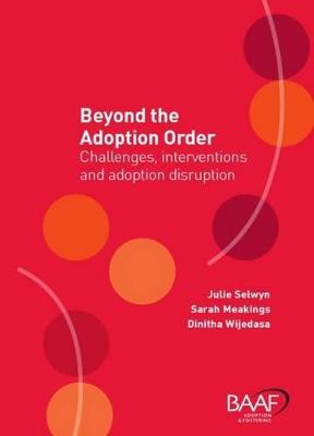 Book cover for Beyond the Adoption Order