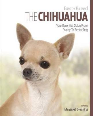 Book cover for Chihuahua Best of Breed