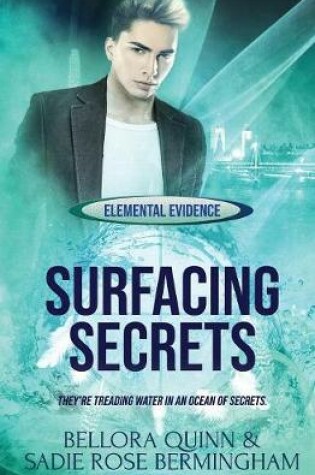 Cover of Surfacing Secrets